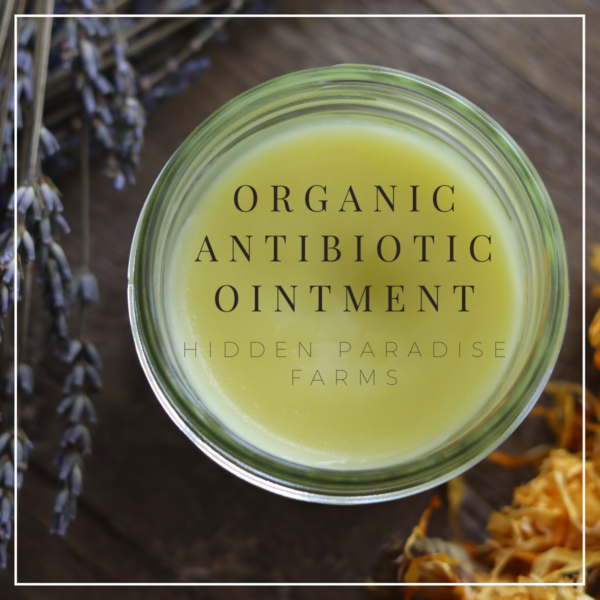 Organic Antibiotic Ointment (Similar to Neosporin)