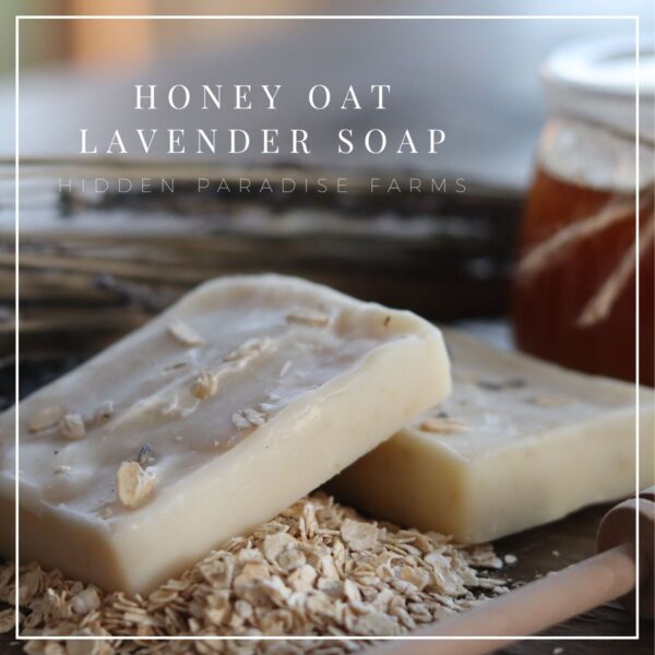 Organic Lavender Honey Oat Soap