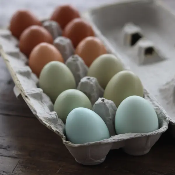 Weekly Egg Subscription - Image 5