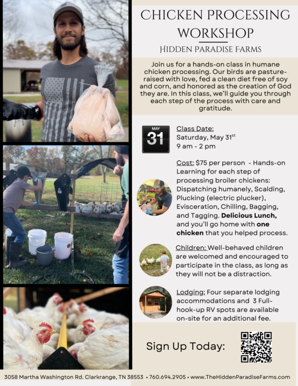 Spring Chicken Processing Workshop - Image 2