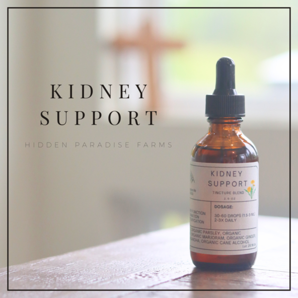 Kidney Support Tincture